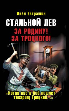 Иван Евграшин - Стальной Лев Революции. Начало - Читать 📖 Читать онлайн 👀 Читаемые книги читать онлайн бесплатно booksread-online.com