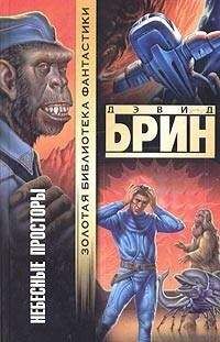 Дэвид Брин - Небесные просторы - Читать 📖 Читать онлайн 👀 Читаемые книги читать онлайн бесплатно 🔥 booksread-online.com
