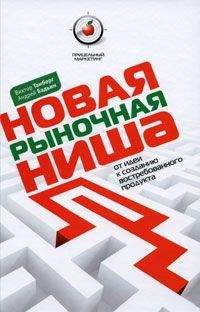 Андрей Бадьин - Новая рыночная ниша. От идеи к созданию нового востребованного продукта - Читать 📖 Читать онлайн 👀 Читаемые книги читать онлайн бесплатно 🔥 booksread-online.com
