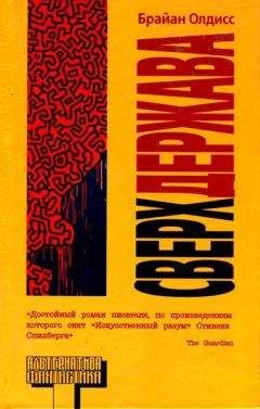 Брайан Олдисс - Сверхдержава - Читать 📖 Читать онлайн 👀 Читаемые книги читать онлайн бесплатно 🔥 booksread-online.com