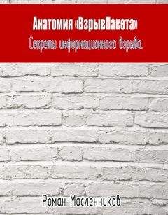 Роман Масленников - Анатомия «ВзрывПакета». Секреты информационного взрыва - Читать 📖 Читать онлайн 👀 Читаемые книги читать онлайн бесплатно 🔥 booksread-online.com