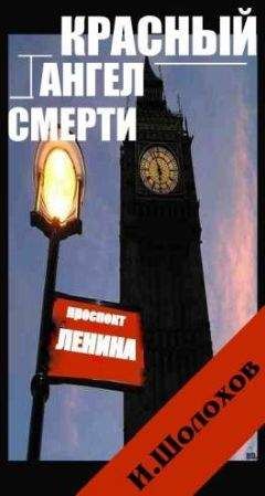 Игорь Шолохов - КРАСНЫЙ АНГЕЛ СМЕРТИ - Читать 📖 Читать онлайн 👀 Читаемые книги читать онлайн бесплатно booksread-online.com