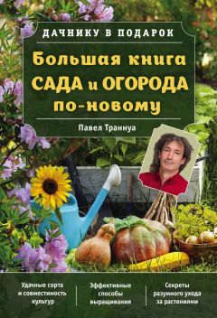Павел Траннуа - Большая книга сада и огорода по-новому - Читать 📖 Читать онлайн 👀 Читаемые книги читать онлайн бесплатно 🔥 booksread-online.com
