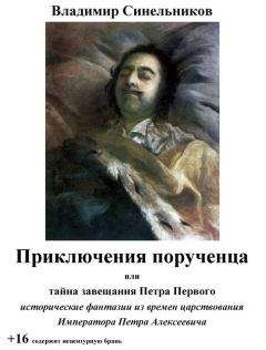 Владимир Синельников - Приключения порученца, или Тайна завещания Петра Великого (СИ) - Читать 📖 Читать онлайн 👀 Читаемые книги читать онлайн бесплатно booksread-online.com