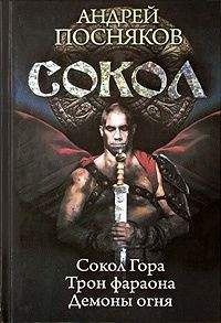 Андрей Посняков - Сокол. Трилогия - Читать 📖 Читать онлайн 👀 Читаемые книги читать онлайн бесплатно 🔥 booksread-online.com