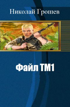 Николай Грошев - Файл ТМ1 (СИ) - Читать 📖 Читать онлайн 👀 Читаемые книги читать онлайн бесплатно 🔥 booksread-online.com