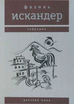 Фазиль Искандер - Детство Чика - Читать | Читать онлайн | Читаемые книги читать онлайн бесплатно | booksread-online.com