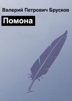 Валерий Брусков - Помона - Читать 📖 Читать онлайн 👀 Читаемые книги читать онлайн бесплатно 🔥 booksread-online.com