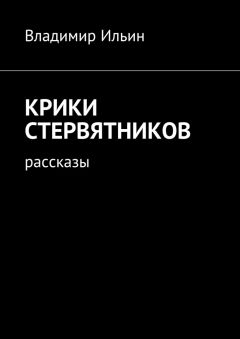 Владимир Ильин - Крики стервятников. Рассказы - Читать 📖 Читать онлайн 👀 Читаемые книги читать онлайн бесплатно 🔥 booksread-online.com