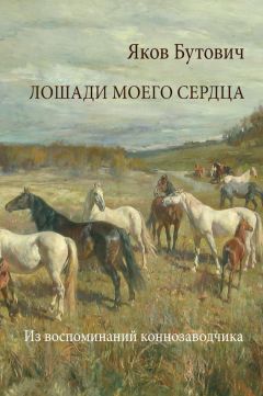 Яков Бутович - Лошади моего сердца. Из воспоминаний коннозаводчика - Читать 📖 Читать онлайн 👀 Читаемые книги читать онлайн бесплатно 🔥 booksread-online.com