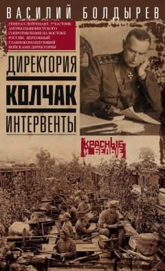 Василий Болдырев - Директория. Колчак. Интервенты - Читать 📖 Читать онлайн 👀 Читаемые книги читать онлайн бесплатно 🔥 booksread-online.com