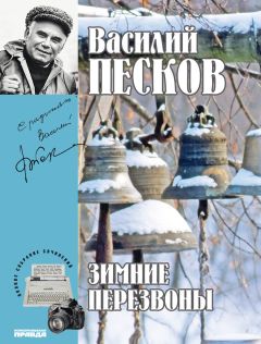Василий Песков - Полное собрание сочинений. Том 17. Зимние перезвоны - Читать 📖 Читать онлайн 👀 Читаемые книги читать онлайн бесплатно 🔥 booksread-online.com