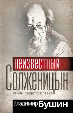 Владимир Бушин - Неизвестный Солженицын. Гений первого плевка - Читать | Читать онлайн | Читаемые книги читать онлайн бесплатно | booksread-online.com