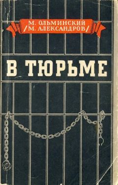 Михаил Ольминский - В тюрьме - Читать 📖 Читать онлайн 👀 Читаемые книги читать онлайн бесплатно 🔥 booksread-online.com