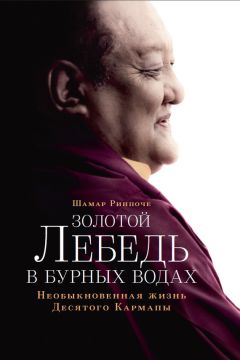 Шамар Ринпоче - Золотой лебедь в бурных водах. Необыкновенная жизнь Десятого Кармапы - Читать 📖 Читать онлайн 👀 Читаемые книги читать онлайн бесплатно 🔥 booksread-online.com