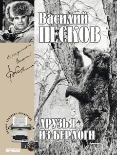 Василий Песков - Полное собрание сочинений. Том 11. Друзья из берлоги - Читать 📖 Читать онлайн 👀 Читаемые книги читать онлайн бесплатно 🔥 booksread-online.com