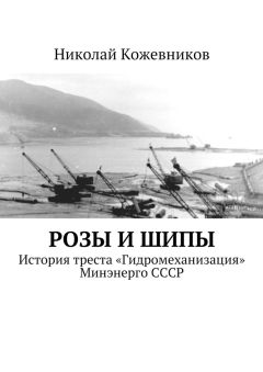 Николай Кожевников - Розы и шипы - Читать | Читать онлайн | Читаемые книги читать онлайн бесплатно | booksread-online.com