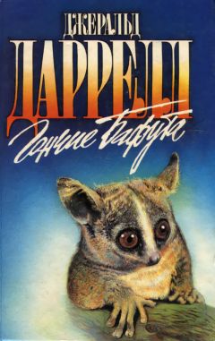 Джеральд Даррелл - Три билета до Эдвенчер - Читать 📖 Читать онлайн 👀 Читаемые книги читать онлайн бесплатно 🔥 booksread-online.com