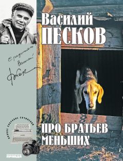 Василий Песков - Полное собрание сочинений. Том 19. Про братьев меньших - Читать 📖 Читать онлайн 👀 Читаемые книги читать онлайн бесплатно 🔥 booksread-online.com