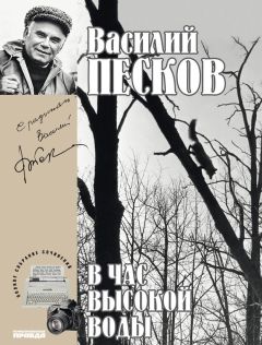 Василий Песков - Полное собрание сочинений. Том 16. В час высокой воды - Читать 📖 Читать онлайн 👀 Читаемые книги читать онлайн бесплатно 🔥 booksread-online.com