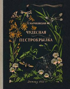Павел Мариковский - Чудесная пестрокрылка - Читать 📖 Читать онлайн 👀 Читаемые книги читать онлайн бесплатно 🔥 booksread-online.com