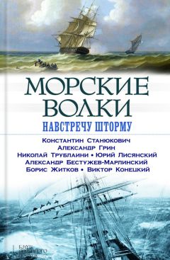 Александр Грин - Морские волки. Навстречу шторму (сборник) - Читать 📖 Читать онлайн 👀 Читаемые книги читать онлайн бесплатно 🔥 booksread-online.com
