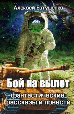 Алексей Евтушенко - Бой на вылет - Читать 📖 Читать онлайн 👀 Читаемые книги читать онлайн бесплатно 🔥 booksread-online.com