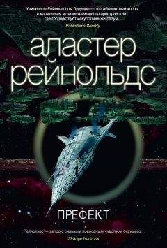 Аластер Рейнольдс - Префект - Читать 📖 Читать онлайн 👀 Читаемые книги читать онлайн бесплатно 🔥 booksread-online.com