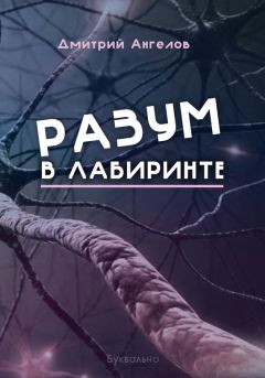 Дмитрий Ангелов - Разум в лабиринте - Читать Читать онлайн Читаемые книги читать онлайн бесплатно booksread-online.com