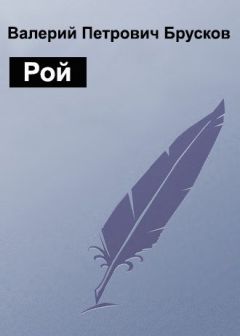 Валерий Брусков - Рой - Читать 📖 Читать онлайн 👀 Читаемые книги читать онлайн бесплатно 🔥 booksread-online.com