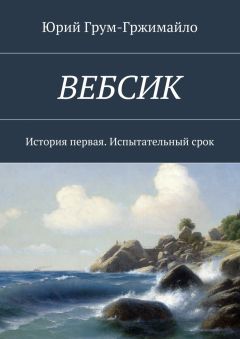 Юрий Грум-Гржимайло - Вебсик. История первая. Испытательный срок - Читать 📖 Читать онлайн 👀 Читаемые книги читать онлайн бесплатно 🔥 booksread-online.com