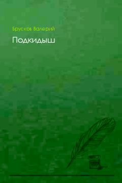 Валерий Брусков - Подкидыш - Читать 📖 Читать онлайн 👀 Читаемые книги читать онлайн бесплатно 🔥 booksread-online.com