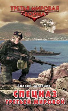Андрей Загорцев - Спецназ Третьей Мировой. Русские козыри - Читать 📖 Читать онлайн 👀 Читаемые книги читать онлайн бесплатно 🔥 booksread-online.com