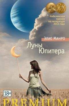 Элис Манро - Луны Юпитера (сборник) - Читать 📖 Читать онлайн 👀 Читаемые книги читать онлайн бесплатно 🔥 booksread-online.com