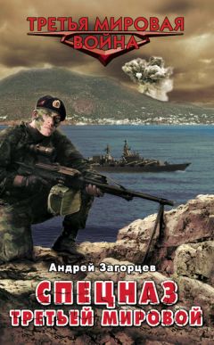 Андрей Загорцев - Спецназ Третьей Мировой. Русские козыри - Читать 📖 Читать онлайн 👀 Читаемые книги читать онлайн бесплатно 🔥 booksread-online.com