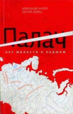 Александр Ачлей - Палач. Нет милости к падшим - Читать 📖 Читать онлайн 👀 Читаемые книги читать онлайн бесплатно 🔥 booksread-online.com