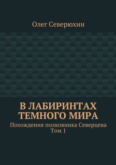 Олег Северюхин - В лабиринтах тёмного мира - Читать 📖 Читать онлайн 👀 Читаемые книги читать онлайн бесплатно 🔥 booksread-online.com