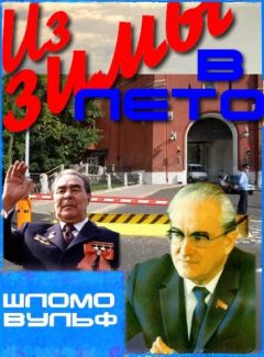 Шломо Вульф - Из зимы в лето - Читать 📖 Читать онлайн 👀 Читаемые книги читать онлайн бесплатно 🔥 booksread-online.com