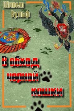 Шломо Вульф - В обход черной кошки - Читать 📖 Читать онлайн 👀 Читаемые книги читать онлайн бесплатно 🔥 booksread-online.com
