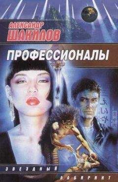 Александр Шакилов - Профессионалы - Читать 📖 Читать онлайн 👀 Читаемые книги читать онлайн бесплатно 🔥 booksread-online.com