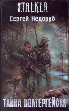 Сергей Недоруб - Тайна Полтергейста - Читать 📖 Читать онлайн 👀 Читаемые книги читать онлайн бесплатно 🔥 booksread-online.com