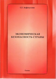 Салават Асфатуллин - Экономическая безопасность страны - Читать | Читать онлайн | Читаемые книги читать онлайн бесплатно | booksread-online.com