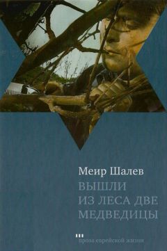 Меир Шалев - Вышли из леса две медведицы - Читать 📖 Читать онлайн 👀 Читаемые книги читать онлайн бесплатно 🔥 booksread-online.com