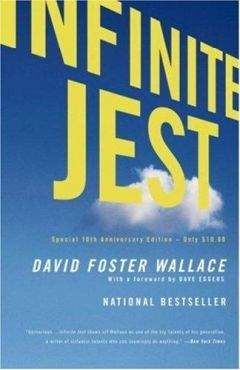 David Wallace - Infinite jest - Читать | Читать онлайн | Читаемые книги читать онлайн бесплатно | booksread-online.com