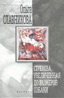Ольга Славникова - Стрекоза, увеличенная до размеров собаки - Читать 📖 Читать онлайн 👀 Читаемые книги читать онлайн бесплатно 🔥 booksread-online.com