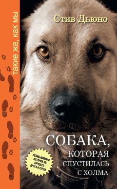 Стив Дьюно - Собака, которая спустилась с холма. Незабываемая история Лу, лучшего друга и героя - Читать 📖 Читать онлайн 👀 Читаемые книги читать онлайн бесплатно 🔥 booksread-online.com