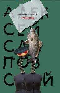 Алексей Слаповский - Участок - Читать 📖 Читать онлайн 👀 Читаемые книги читать онлайн бесплатно 🔥 booksread-online.com