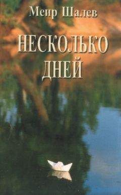 Меир Шалев - Несколько дней - Читать 📖 Читать онлайн 👀 Читаемые книги читать онлайн бесплатно 🔥 booksread-online.com