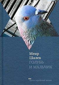 Меир Шалев - Голубь и Мальчик - Читать | Читать онлайн | Читаемые книги читать онлайн бесплатно | booksread-online.com