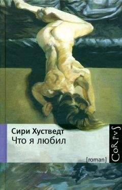 Сири Хустведт - Что я любил - Читать 📖 Читать онлайн 👀 Читаемые книги читать онлайн бесплатно 🔥 booksread-online.com